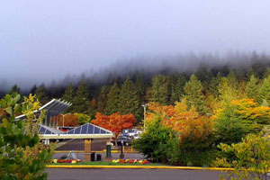 LCC main campus parking lot 1 fall colors
