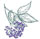 Elderberry Graphic