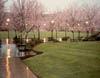 Spring at Lane