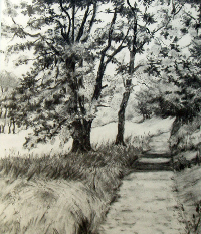 'Path and Trees' by Liepe. Charcoal 24.5 x 20  inches