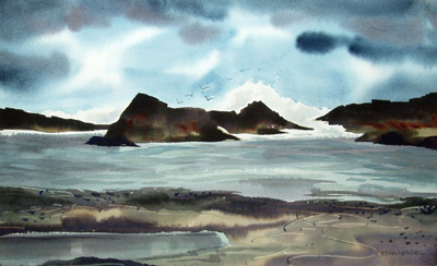 'Ocean, Rocks, Birds' by Edna Kennel