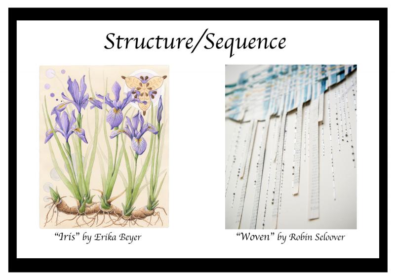 Erika Beyer and Robin Seloover Structure/Sequence