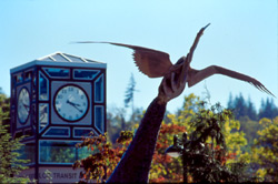Bird sculpture near clock at bus area on main campus