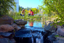 students by water feature near Longhouse