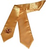 NSCS stole
