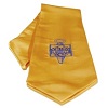 Phi Theta Kappa stole