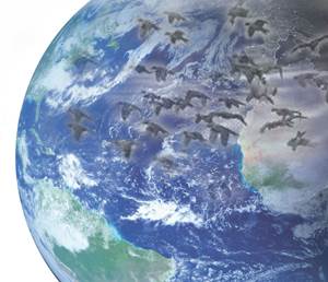 image of the earth