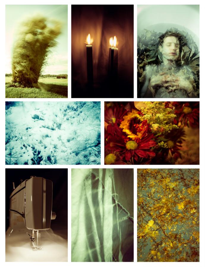 collage of eight soft colored and somewhat blurred photos of flowers and trees, man in a bath tub and other dream subjects