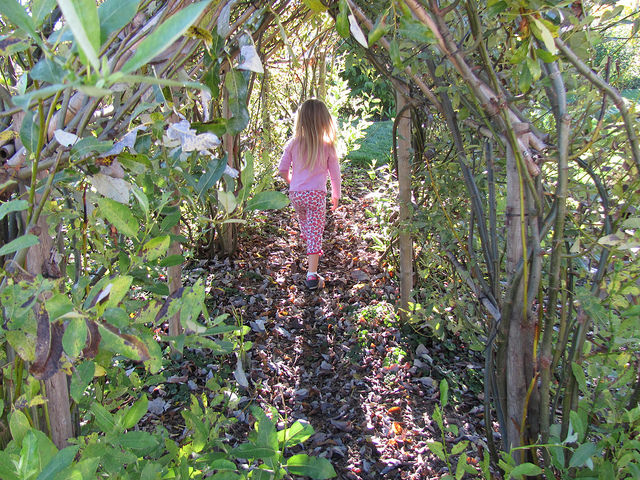 child in forrest