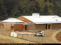 June 12 2009 photo of longhouse construction