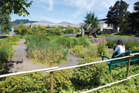 Fountain and Garden area by Building 1