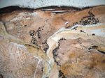 "Juxtaposition" by Monique Janssen-Belitz