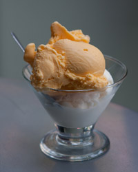 Photo by Katie Royce Zolezzi of ice cream in glass dish