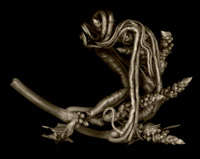 photograph of "Tangled Weed Image"