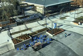 image of center building plaza
