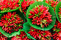 Burst of Flavor by Kat Soma