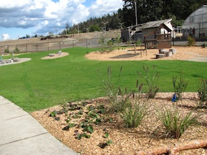 Natural playscape at LCC child center