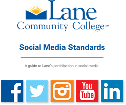 social media standards guide cover