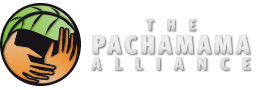 pachamama logo