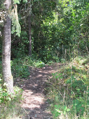 Nature trail
