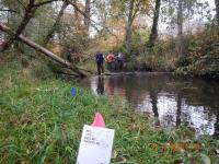 Watershed activities FA 13