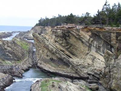 coast field trip