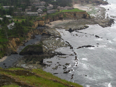 coast field trip