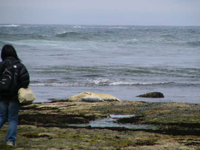 coast field trip