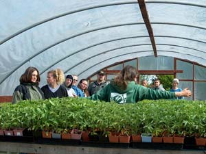 Group of people looking at plants inside a greenhouse