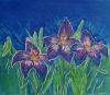 'Night Flowers' by Dee Natzel 