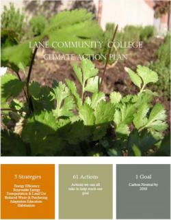 graphical example of Lane's Climate Action Plan