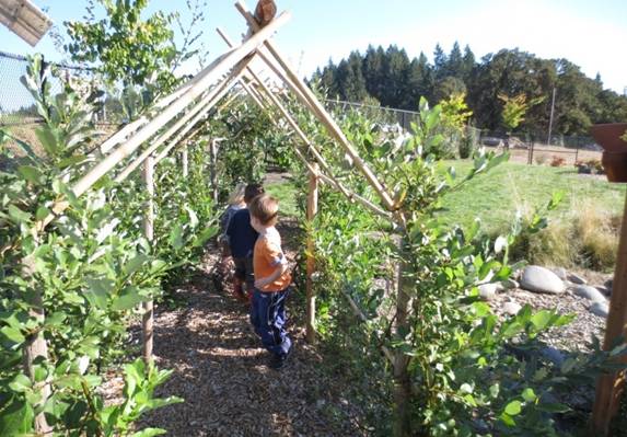 Willow tunnel in Childcare playground
